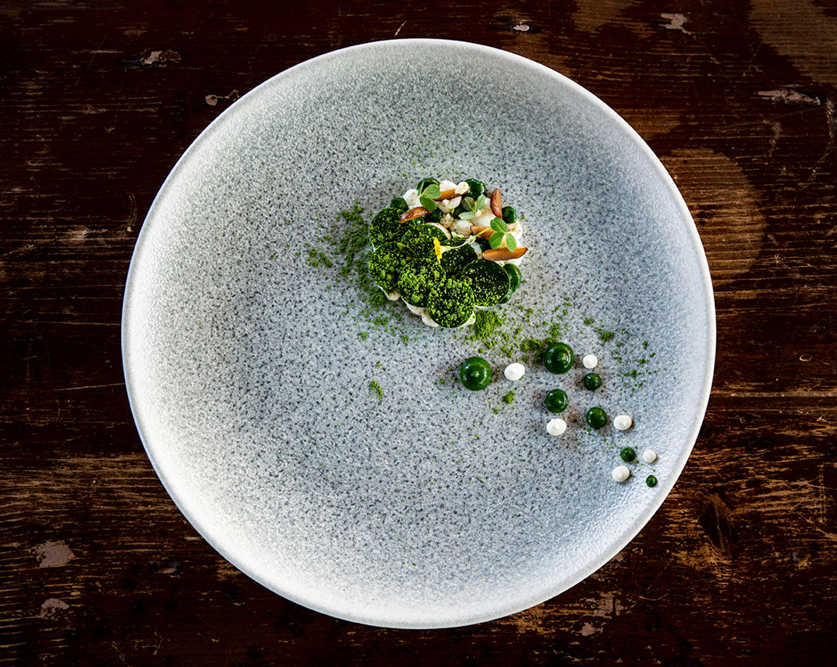 374f17_103e03e3461343e79dcec78e382b7202~mv2